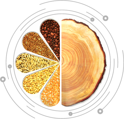 為什么選擇金之源善學時尚家具